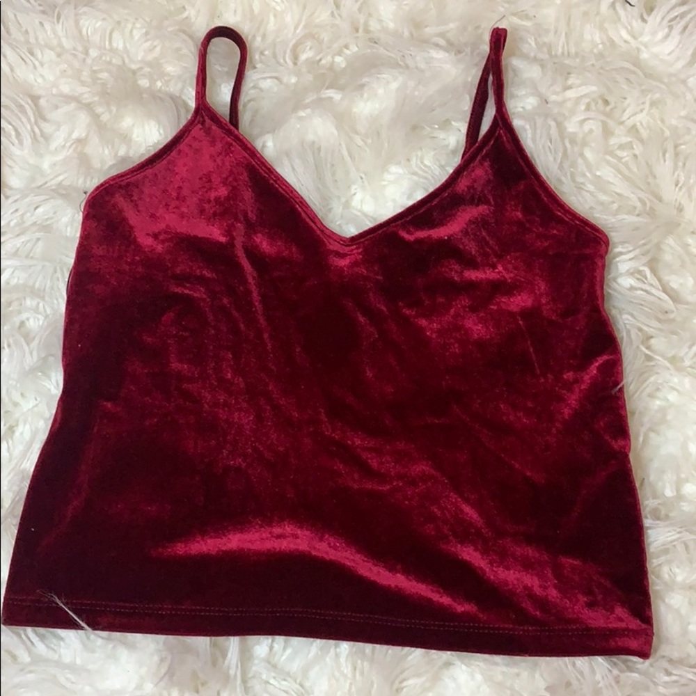 Velvet Crop top from Forever 21